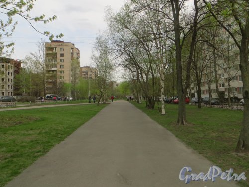 Пешеходный бульвар на участке Железноводской улицы от проспекта КИМа до Наличной улицы. Фото 6 мая 2015 года.
