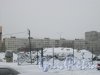 ул. Кустодиева, дом 12. Общий вид с ул. Руднева. Фото 27 февраля 2016 г.