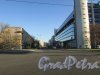 Перспектива  Звёздной улицы от Московского шоссе в сторону улицы Ленсовета. Фото 2 ноября 2017 года.