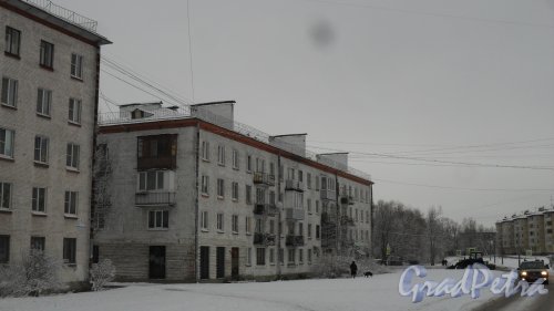 Красное Село, улица Лермонтова, дом 6. 4-этажный жилой дом серии 1-528кп 1962 года постройки. 3 парадные, 42 квартиры. Фото 21 февраля 2017 года.