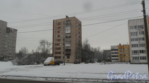 Красное Село, улица Лермонтова, дом 9. 9-этажный жилой дом серии 1-528кп40 1975 года постройки. 1 парадная, 45 квартир. Фото 21 февраля 2017 года.