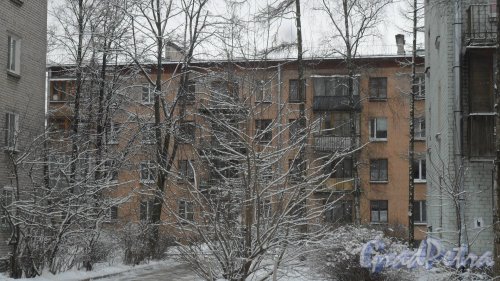 Красное Село, улица Гвардейская, дом 6, корпус 2. 4-этажный жилой дом серии 1-528кп 1964 года постройки. 2 парадные, 32 квартиры. Фото 21 февраля 2017 года.