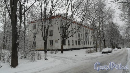 Красное Село, улица Нагорная, дом 39. 3-этажный жилой дом серии 1-528КНП 1961 года постройки. 2 парадные, 24 квартиры. Фото 21 февраля 2017 года.