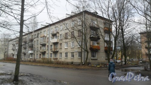 Красное Село, улица Суворова, дом 13. 4-этажный жилой дом серии 1-528кп 1962 года постройки. 4 парадные, 64 квартиры. Фото 15 марта 2017 года.