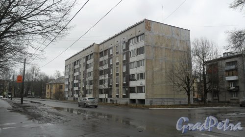 Красное Село, улица Лермонтова, дом 18. Фото 15 марта 2017 года.
