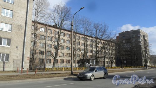 Студенческая улица, дом 3. Общежитие Санкт-Петербургского Государственного Электротехнического Университета. Фото 29 марта 2017 года.