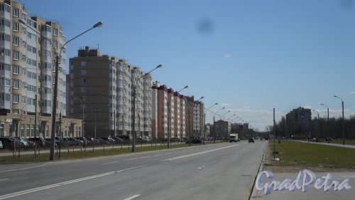 Красное Село, улица Освобождения. Панорама улицы от новостроек в сторону проспекта Ленина. Фото 3 мая 2017 года.