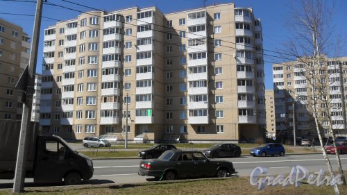 Красное Село, улица Спирина, дом 1, корпус 1. 9-этажный жилой дом 2011 года постройки. 3 парадные, 108 квартир. Фото 3 мая 2017 года.