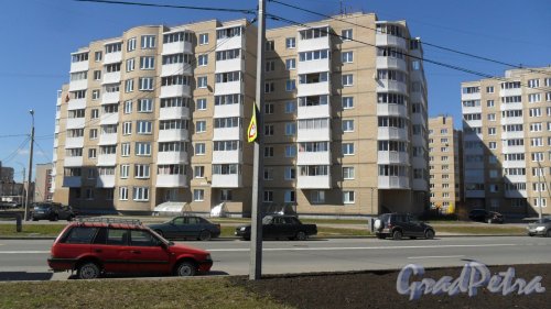 Красное Село, улица Спирина, дом 3, корпус 1. 9-этажный жилой дом 2011 года постройки. 3 парадные, 100 квартир. Фото 3 мая 2017 года.