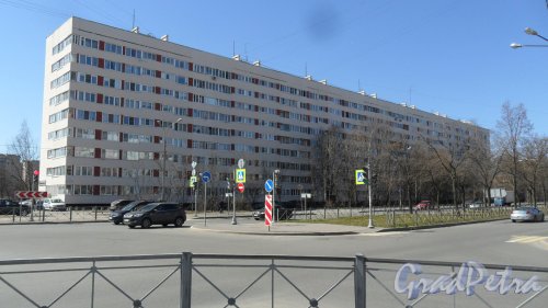 Улица Подводника Кузьмина, дом 17. 9-этажный жилой дом серии 1ЛГ-600А 1968 года постройки. 7 парадных, 251 квартира. Фото 3 мая 2017 года.