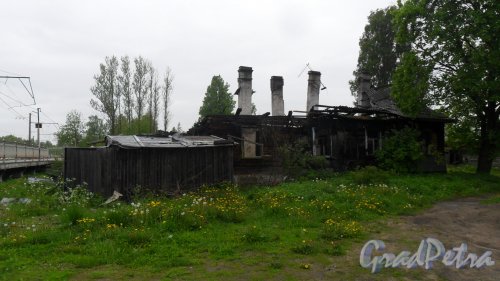 Поселок имени Морозова, улица Скворцова. Сгоревший жилой дом на неучтенном земельном участке рядом с домом 297А. Фото 12 июня 2017 года.