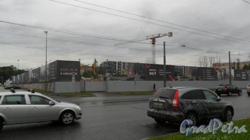 Улица Политехническая, дом 6. Строительство ЖК «Like». Общий вид строительной площадки. Фото 20 июня 2017 года.