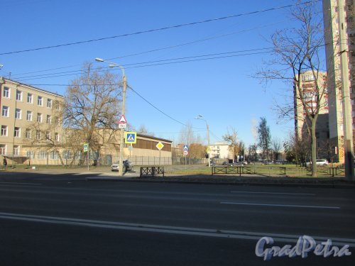 Перспектива Гжатской улицы от проспекта Непокорённых в сторону улицы Хлопина. Фото 2 ноября 2017 года.