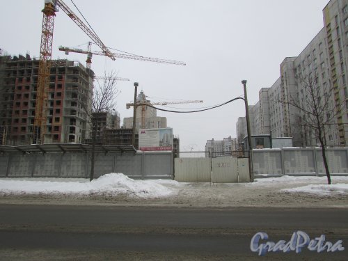 улица Костюшко, дом 19. Вид на строительство ЖК «Москва» со стороны 5-го Предпортового проезда. Фото 11 февраля 2018 года.