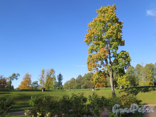 Фермская дорога (Пушкин), д. 2. Павильон Белая башня. Окружающие бастионы. фото октябрь 2015 г.