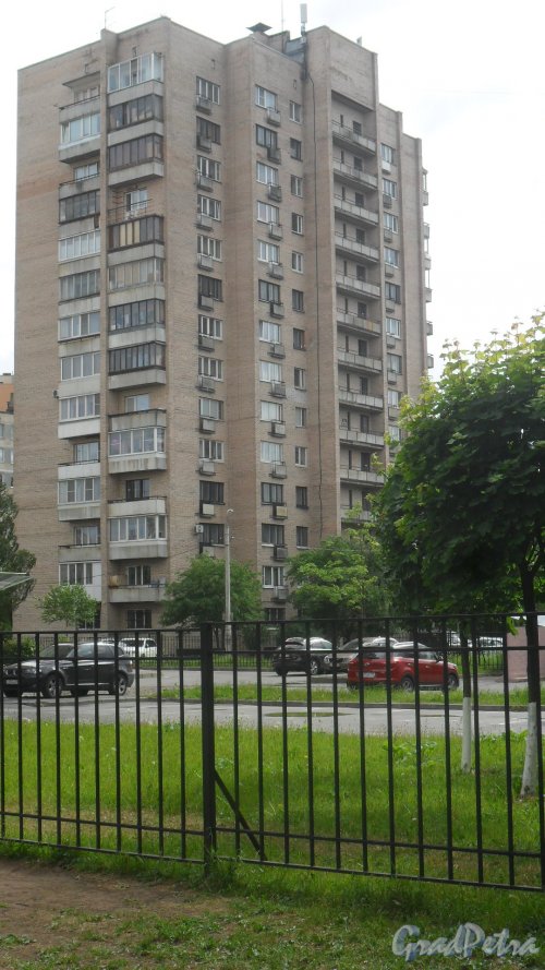 Улица Димитрова, дом 6, корпус 1. 14-этажный жилой дом серии 1-528кп81 1974 года постройки. 1 парадная, 84 квартиры. Фото 6 июня 2018 года.