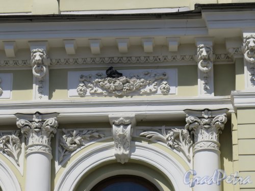 Фурштатская ул., д. 52. Особняк К. А. Варгунина, Лепная вставка над окном 2-го этажа. фото июнь 2016 г.