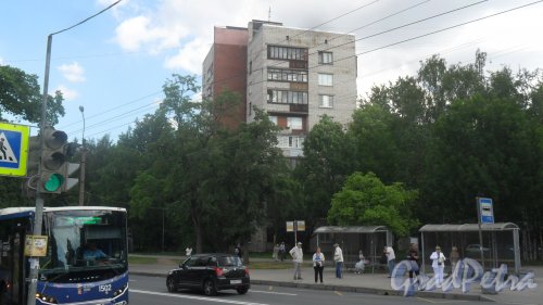 Будапештская улица,дом 24. 9-этажный жилой дом серии 1-528кп40 1968 года постройки. 1 парадная, 45 квартир. Фото 26 июня 2018 года.