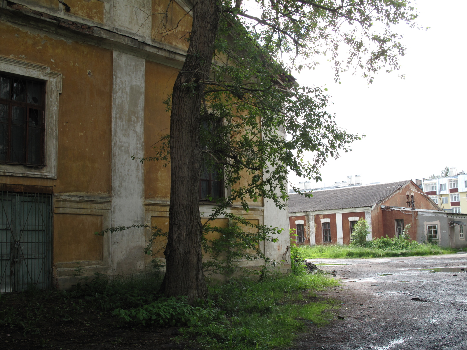 улица радищева санкт петербург