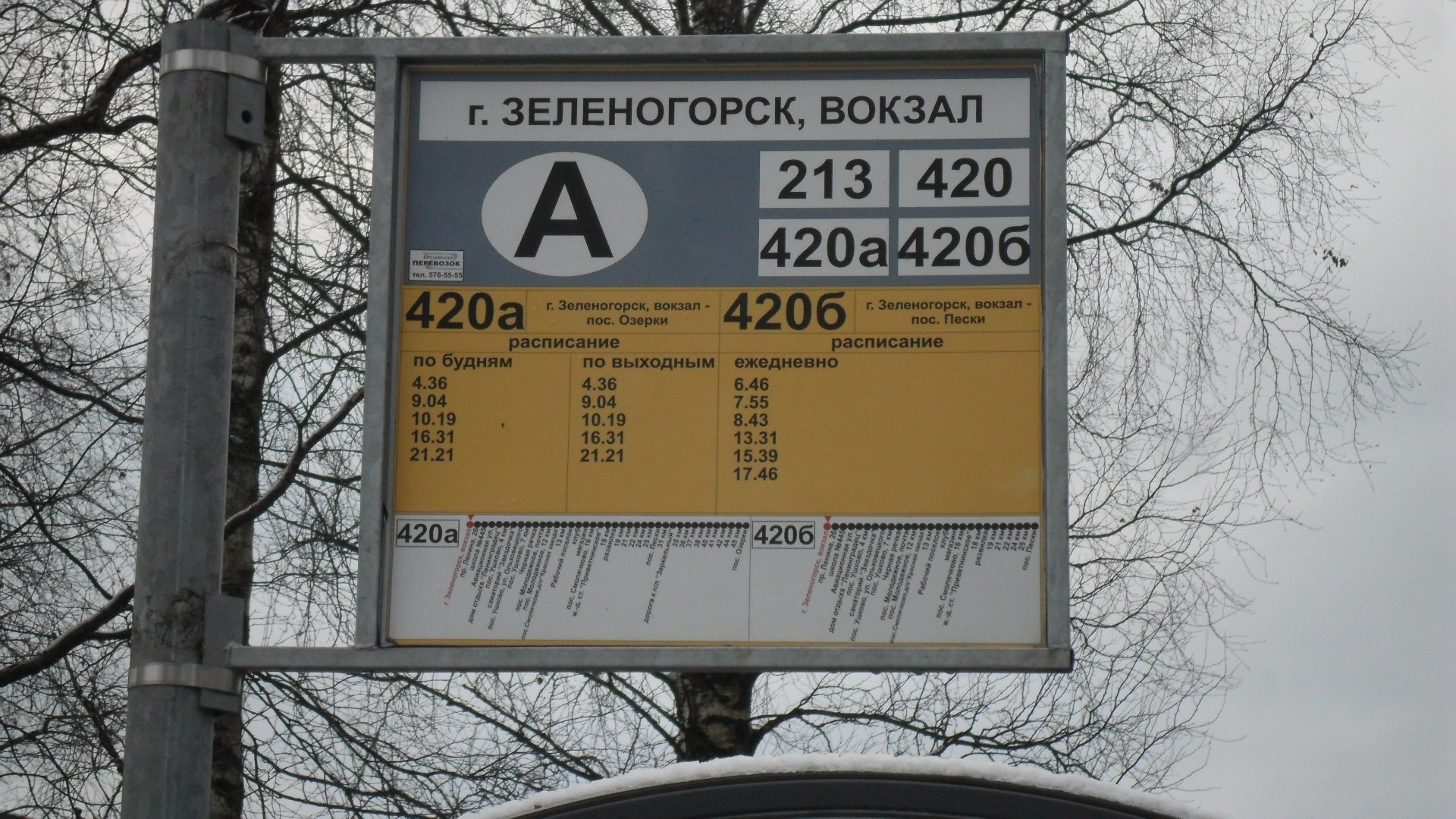 Расписание 213 маршрутки. 420 Автобус Зеленогорск. 420 Автобус расписание. Расписание Зеленогорск. Расписание автобусов 420 б а.