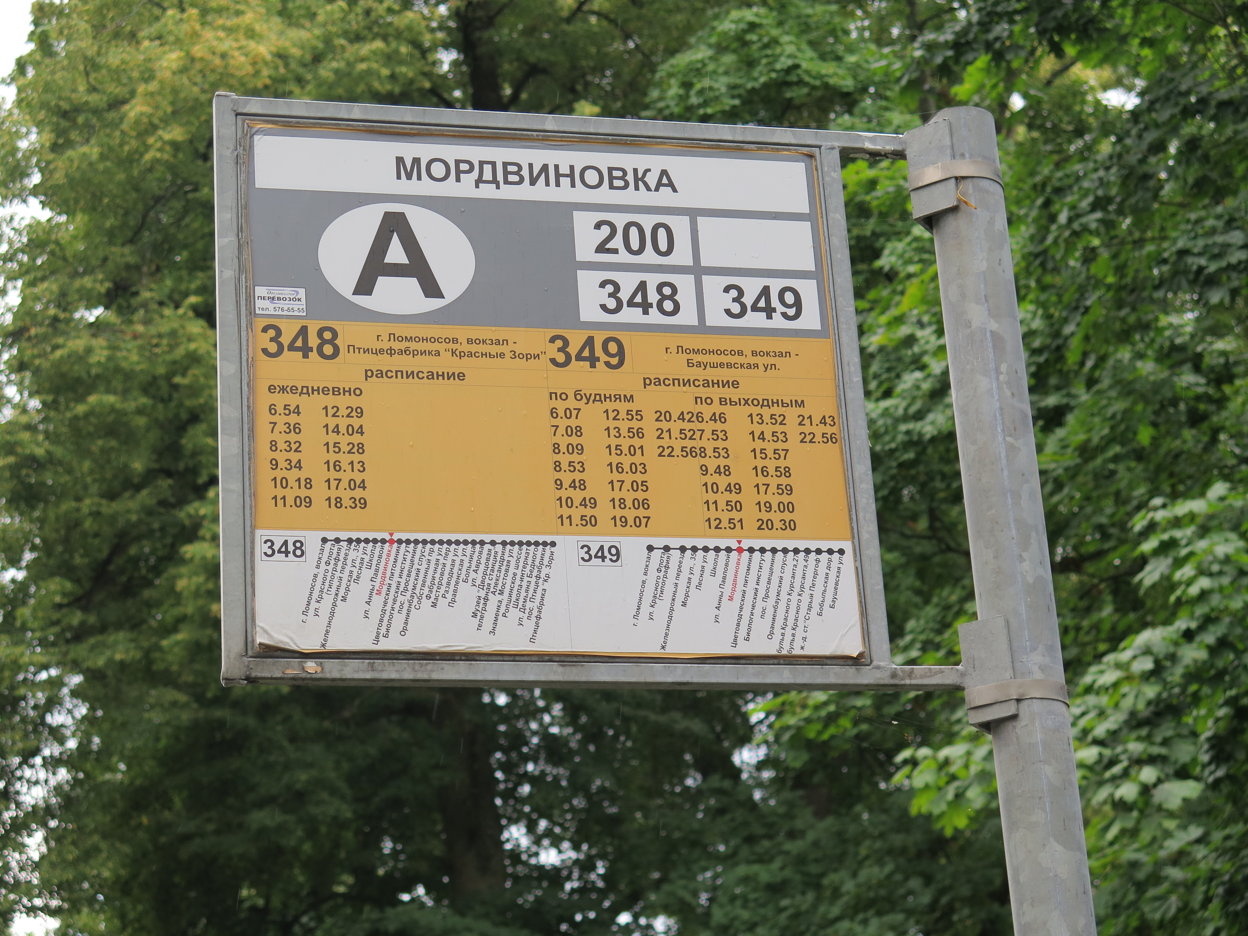 349 автобус расписание щелково 7 москва сегодня