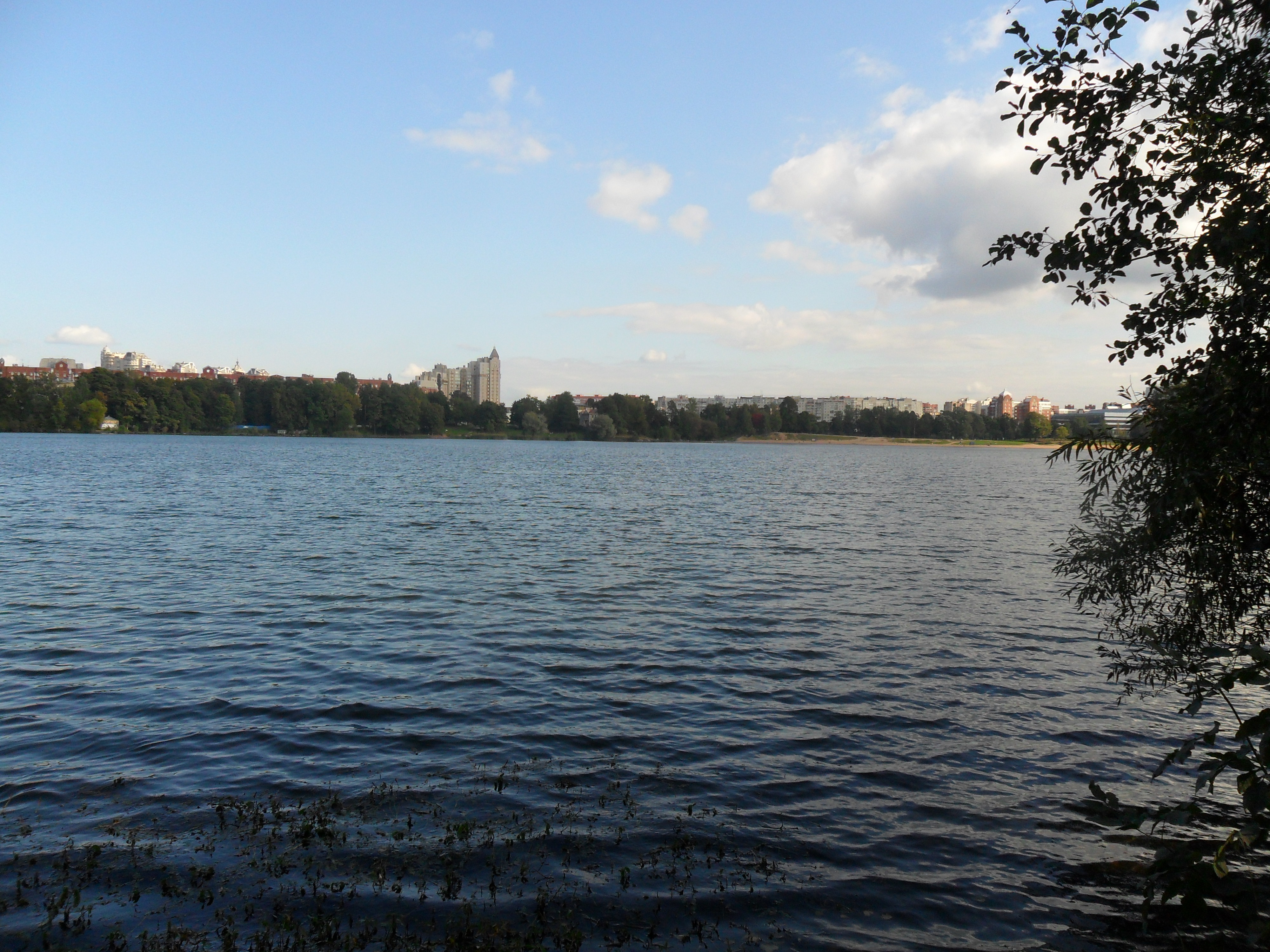 Суздальские озера спб. Озерки верхнее Суздальское озеро. Суздальские озёра Санкт-Петербург. Верхнее Суздальское озеро СПБ. Нижнее большое Суздальское озеро СПБ.